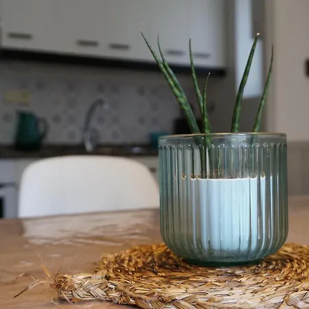 Prázdninový dům Cirjuana, Casa En El Centro Con Agradable Jardin Y Barbacoa By Pirineos 360 Biescas (Aragon)